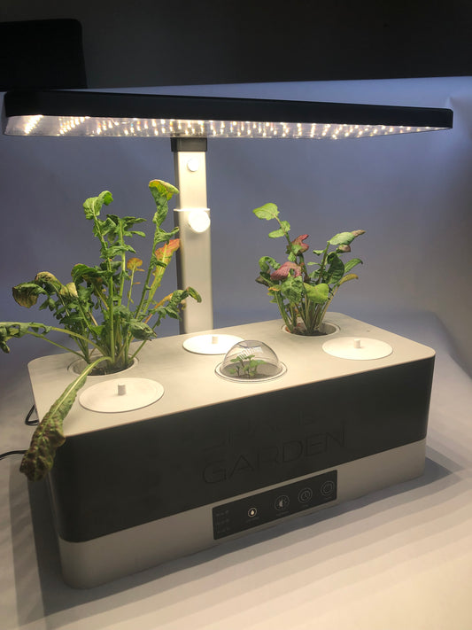 Space Garden plant lab