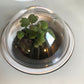 Space Garden Bundle