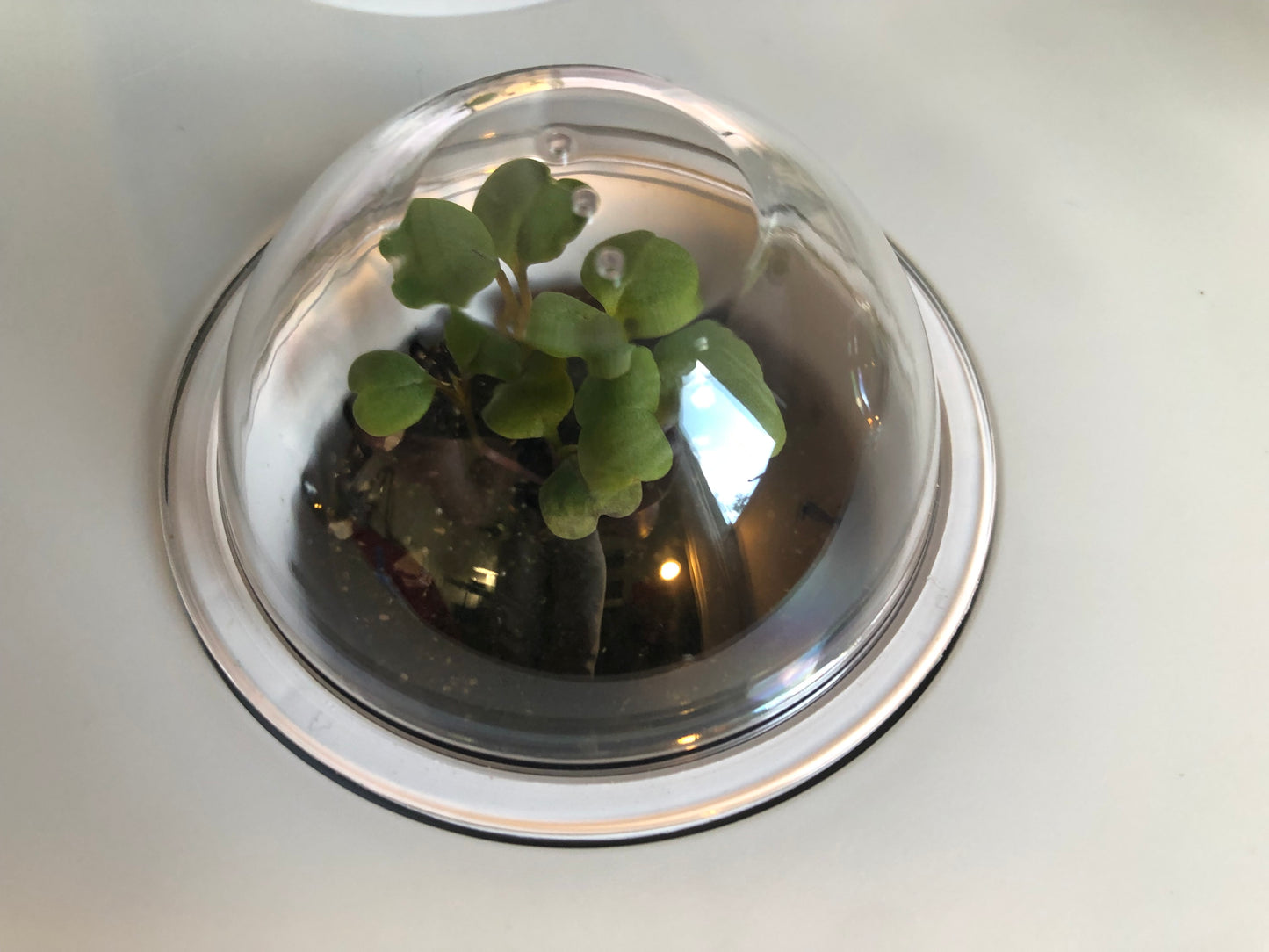Space Garden Bundle