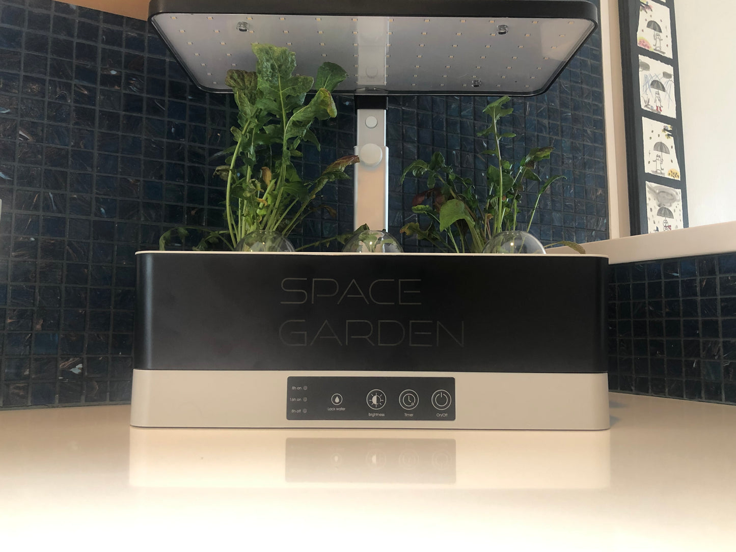 Space Garden Bundle