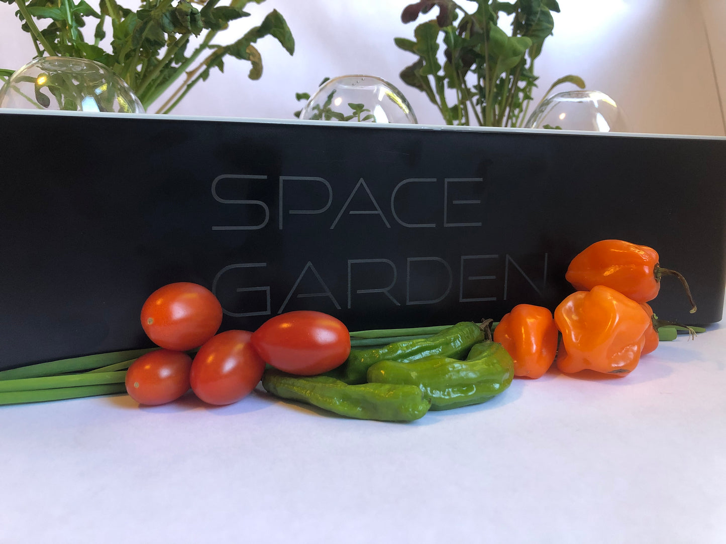 Space Garden plant lab